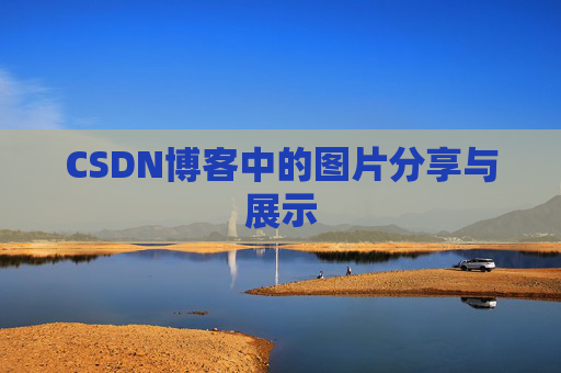 CSDN博客中的图片分享与展示